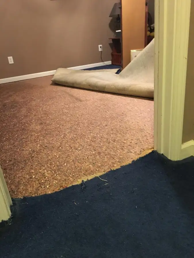 Carpet pad removal revealing water damage during Drying & Dehumidification in Allegheny